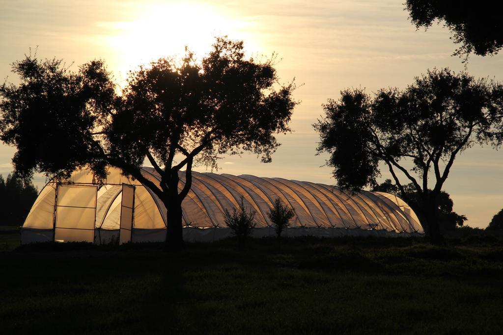 Ermidas Refugio Das Origens מראה חיצוני תמונה